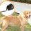 50KG 8M Large Dog Lead Leash Strongs Retractable Extendables Lockable 2