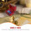 4Ensembles Coffres Marron Pour Enfants Carte Et 7