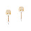 2Pièces Brosse Blanche En Bois Pour Nettoyage D'instruments De 4