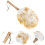 2Pièces Brosse Blanche En Bois Pour Nettoyage D'instruments De 8
