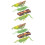 2 Sets Grasshopper Growth Cycle Educational Toy Cognitive Model 6
