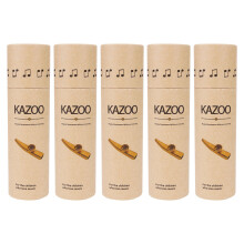 10Stk Kazoo Aufbewahrungskasten Leicht Gelb Windinstrument Zubehör