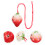 2St Draagbare Rood Keramische 6-Gats Beginners Ocarina 10