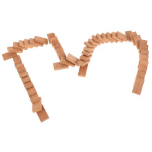 100 Pcs Wooden Dominoes Tiles Building Blocks Family Party Game