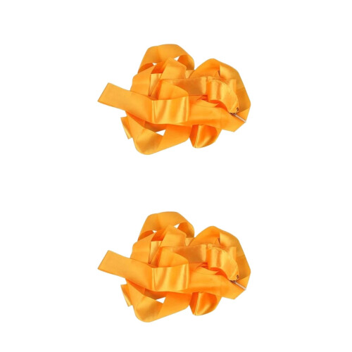 2St Lange Gymnastiek Danslint Polyester En Plastic 2