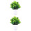 2 Count Indoor Artificial Plants Bonsai Tree Fake Simulation Potted 5