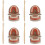 4 Sets Child Teeth Model For Oral Education Study Random Color 6