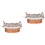 6pcs Stainless Steel Mesh Pad Bendable Moss Net Multi-Function Wire Mesh Easy To Clean For Fish Tank 4