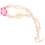 Beach Style Pendant Anklet Hawaiian Flower Shell Adjustable 2 Pcs 4