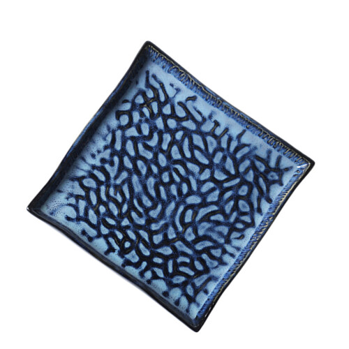 2Pcs Embossed Ceramic Sushi Plate 10 Inch Square Serving Tray 1