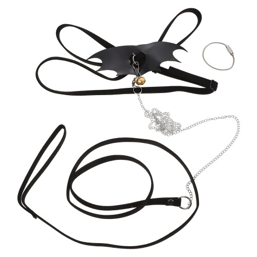2Sets Lizard Loopriem Diverse Pet Reptielen