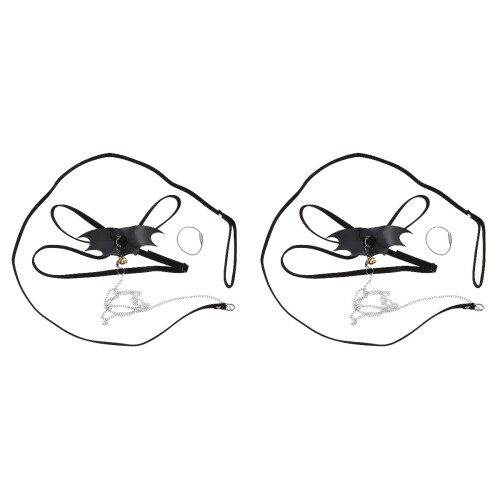 2Sets Lizard Loopriem Diverse Pet Reptielen 1