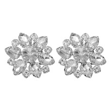 4Stk Elegante Schuhclips Aus Alloy Mit Strass Für Hochzeit & Party