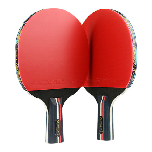2Ensembles Raquettes Ping-Pong Sport Faciles