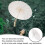 3St Wit Handvat Papieren DIY En Feestdecor 7