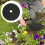 3Sets Non-Woven Weeding Cloth Garden Control Grey 10