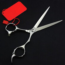 Hair Cutting Scissors 5.5 Inch Professional Stainless Steel Barber Shears for Salon and Home Use
