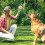 40Pièces Boîtes À Avec Couvercles Pour 4