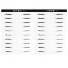 20Paires Stickers Sourcils Waterproof Pour Création Sourcils Uniques