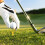 80Pièces Mini Tee De Golf En Accessoires Pour Golfeurs 9