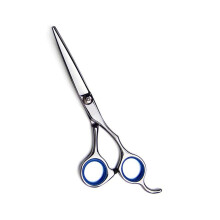 Professional 6 Inch Hair Cutting Scissors with Precision Blades, Stainless Steel Shears for Salon and Home