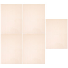 25Stk Bops Schrumpffilm Gold DIY Bastelmaterial Schrumpfblätter