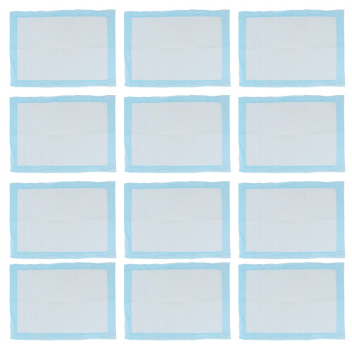 40Pcs Pet Pee Pads Absorbent Training Mat for Indoor Pets