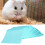 40Pcs Pet Pee Pads Absorbent Training Mat for Indoor Pets 11