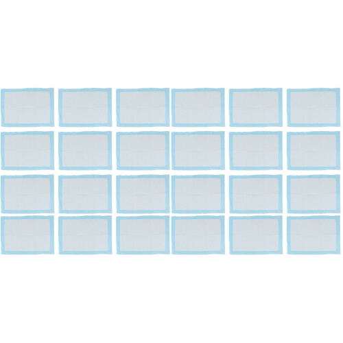 40Pcs Pet Pee Pads Absorbent Training Mat for Indoor Pets 1