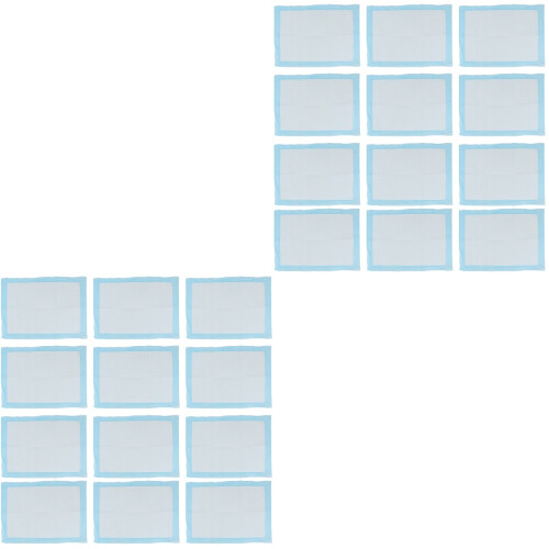 40Pcs Pet Pee Pads Absorbent Training Mat for Indoor Pets 2