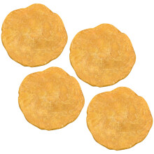 12Stk Orange Nummulites Ornaments Modell Lehrmittel Kinder