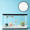 3Pièces Aquarium Séparation Protection Petit 6
