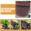 2Pcs Durable Metal Mesh Root Protectors White Plant Root Guard Basket 4