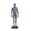 2Pcs Durable Grey Male Model Muscle Structure Medical Teaching Display 1