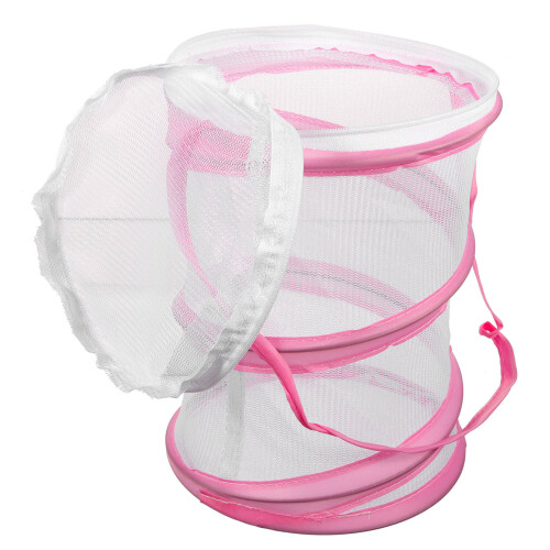 4Pièces Rose En Transparente Pour Et Chenilles 2