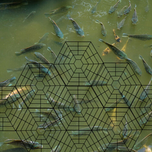 40Pcs Black Nylon Fish Protector Six-Angle Pond Protective Net 2