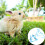 3Pcs Blue Pet Pulling Strap Durable Rabbit Traction Rope 8