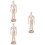 3 Pcs Educational Children Craft Toys Creative Desktop Decor 6