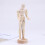 3 Pcs Educational Children Craft Toys Creative Desktop Decor 10