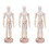 3 Pcs Educational Children Craft Toys Creative Desktop Decor 4