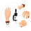 Nail Practice Hand with Interchangeable Tips, Realistic Manicure Training Model for Beginners 5