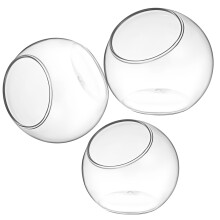 12Pcs Clear Plant Terrarium Vases Decorative Plant Bowls