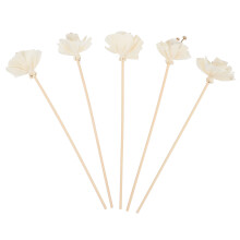 10St Decoratieve Diffuser Sticks Met Beige Natuurlijke