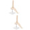 2Pcs Beige PVC Ankle Joint Model Plastic Human Foot Skeleton 7