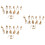 36Pcs Dinosaur Skeleton Models Durable Khaki Simulation Toys for Decor 5