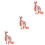 3Pcs Kids Animal Plaything Educational Durable Toy Realistic Models 5