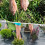 Weed Control Barrier Fabric - 100gsm Heavy Duty 7