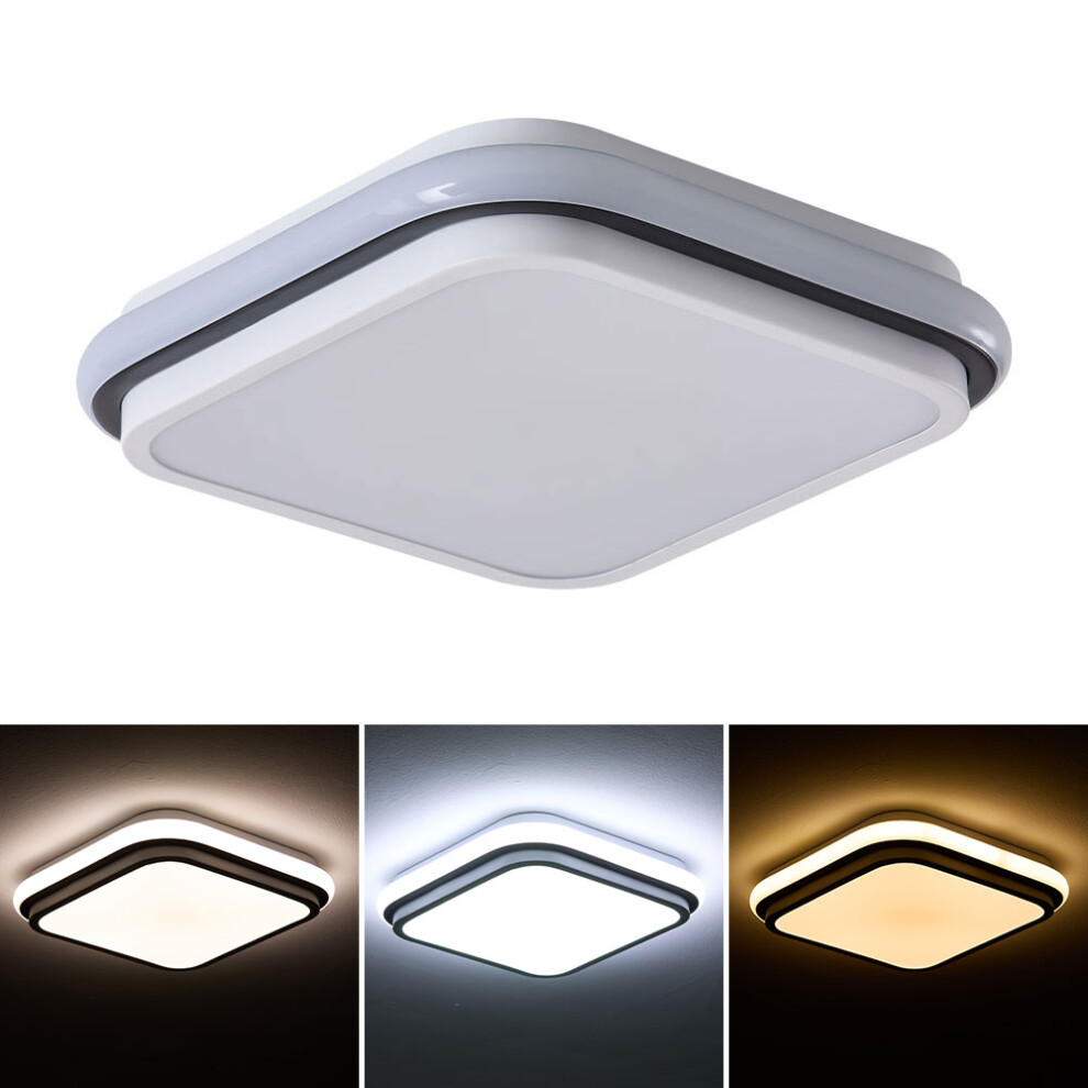 Adjustable LED Ceiling Light