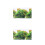 2Pcs Aquarium Background Sticker Green Durable Fish Tank Backdrop 6