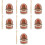 7Sets Tooth Brushing Model Resin Teeth Teaching Tool Assorted Color 9